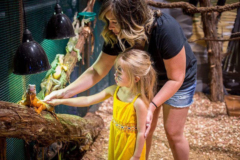 houston aquarium school field trips