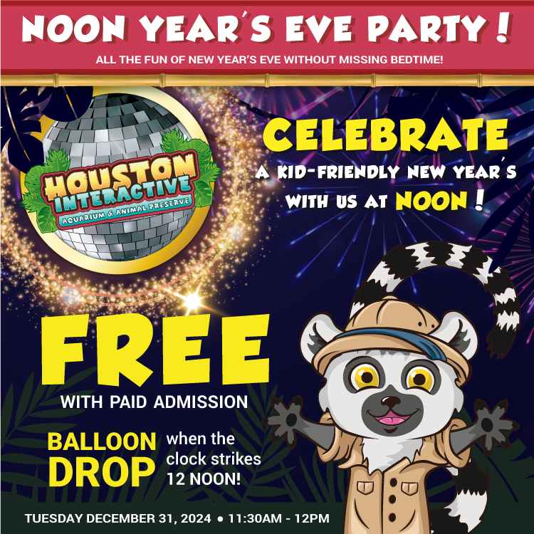 Houston New Years Eve Event 2024 for Families and Kids