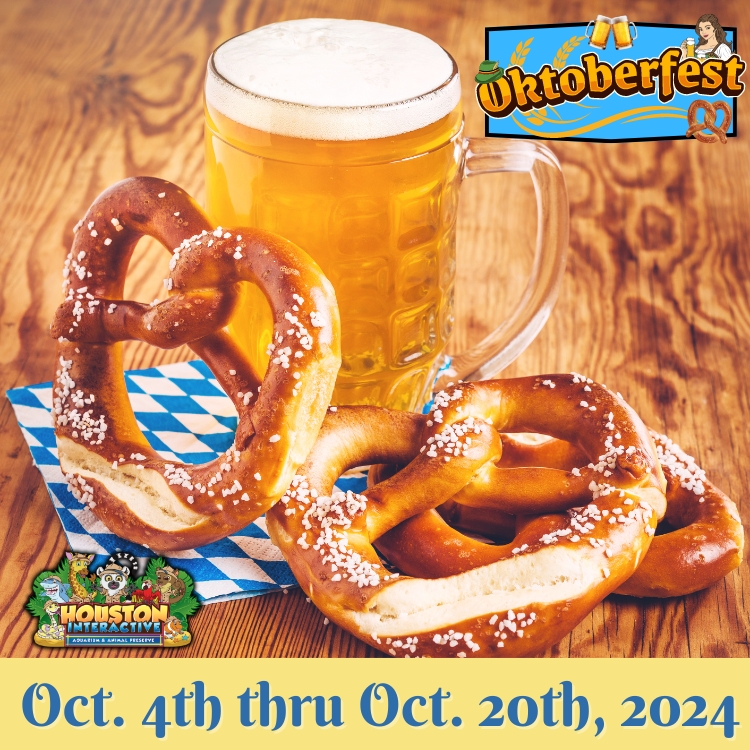 Oktoberfest Houston